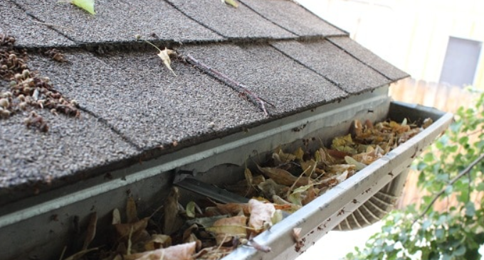 5 Steps to Cleaning your Gutters like a Professional